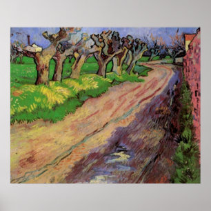 Pollard Willows by Vincent van Gogh Poster