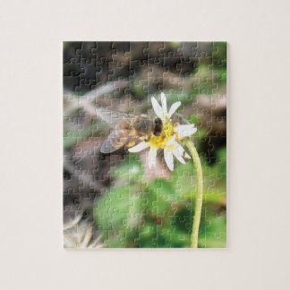 Pollinating Honey Bee on Wild Daisy Flower Photo Jigsaw Puzzle
