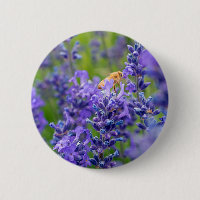 Pollinator Save The Bees Lavender Flowers Herbs