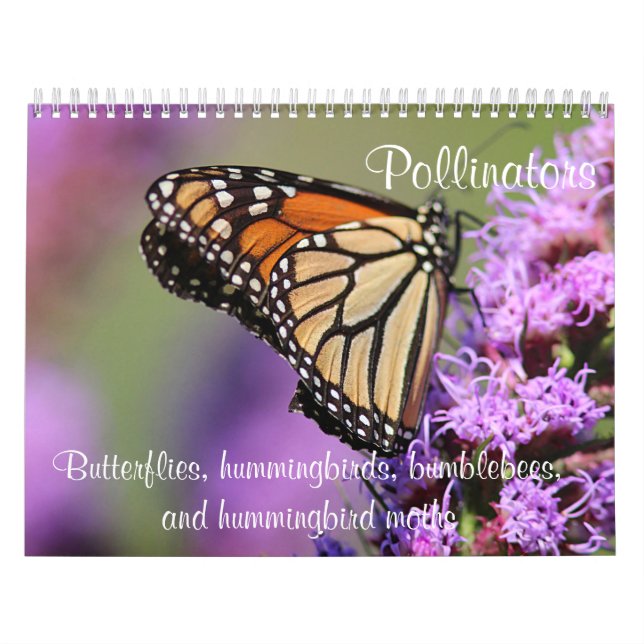 Pollinators Calendar (Cover)