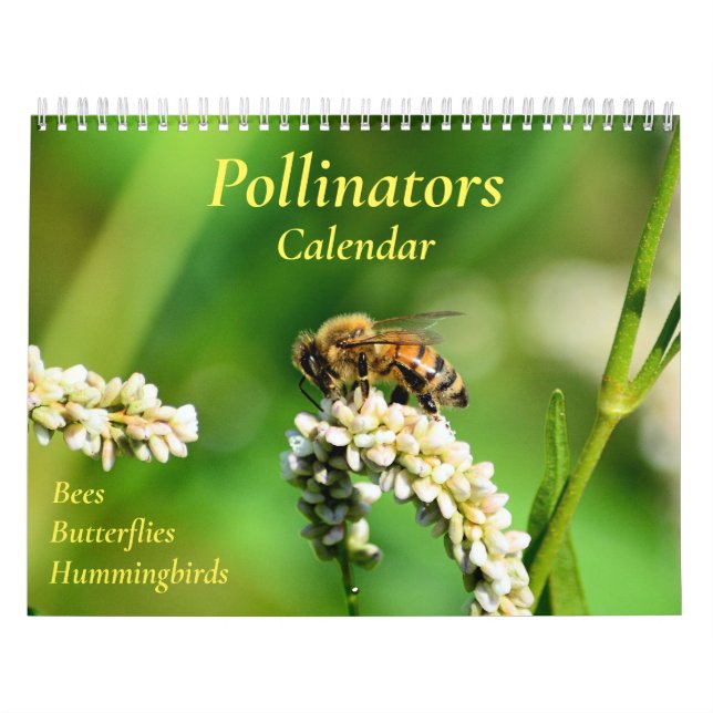 Pollinators Calendar (Cover)