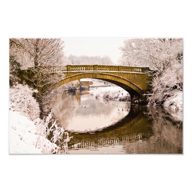 Pollok Park, Glasgow Photo print (Front)