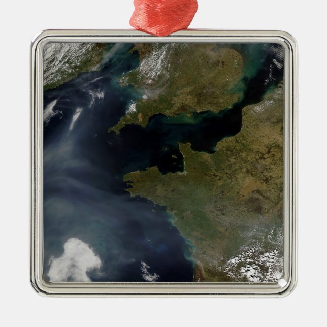 Pollution off France Metal Tree Decoration (Front)