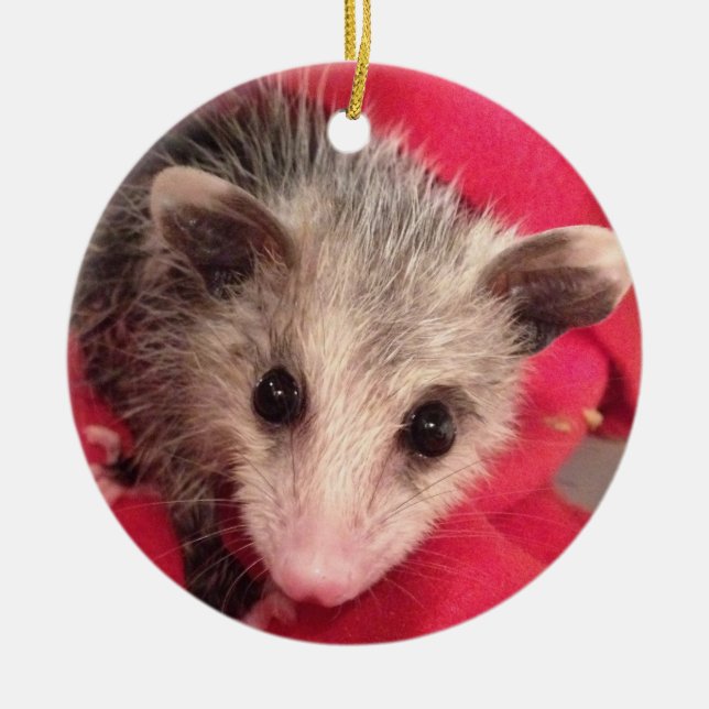 Polly Cute Baby  Possum Ceramic Tree Decoration (Front)