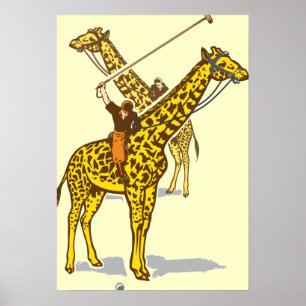 Polo Funny Poster