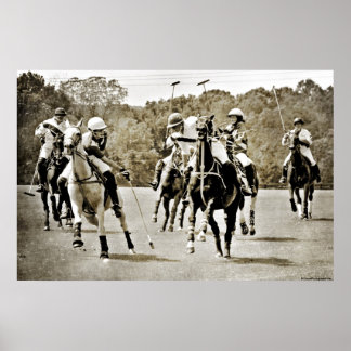 Polo Horses Galloping Poster