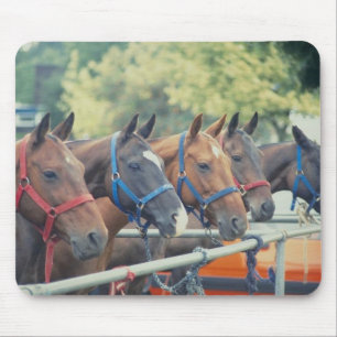 Polo Pony String Mouse Pad