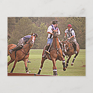 Polo Post Card