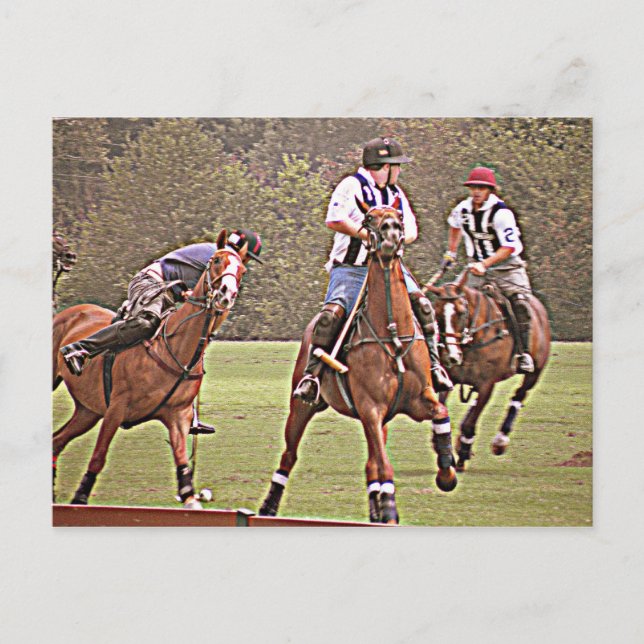 Polo Post Card (Front)