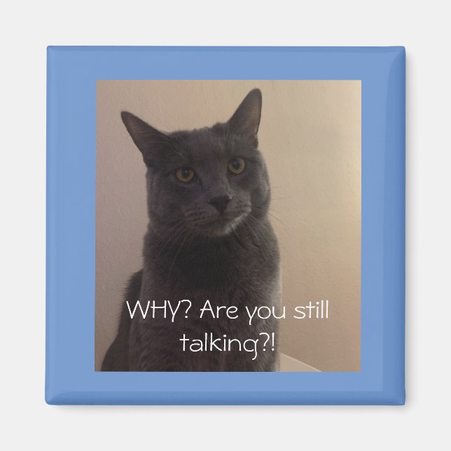 Polo the cat  Why are you still talking? Magnet (Front)