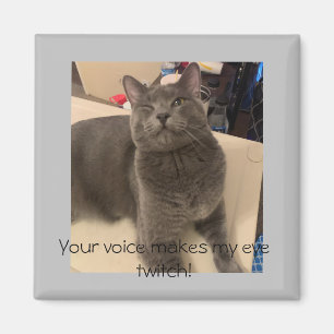 Polo the cat  "Your voice makes my eye twitch! Magnet