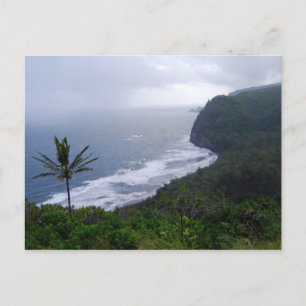 Pololu Valley Lookout with Palm Tree, Hawaii, Post Postcard