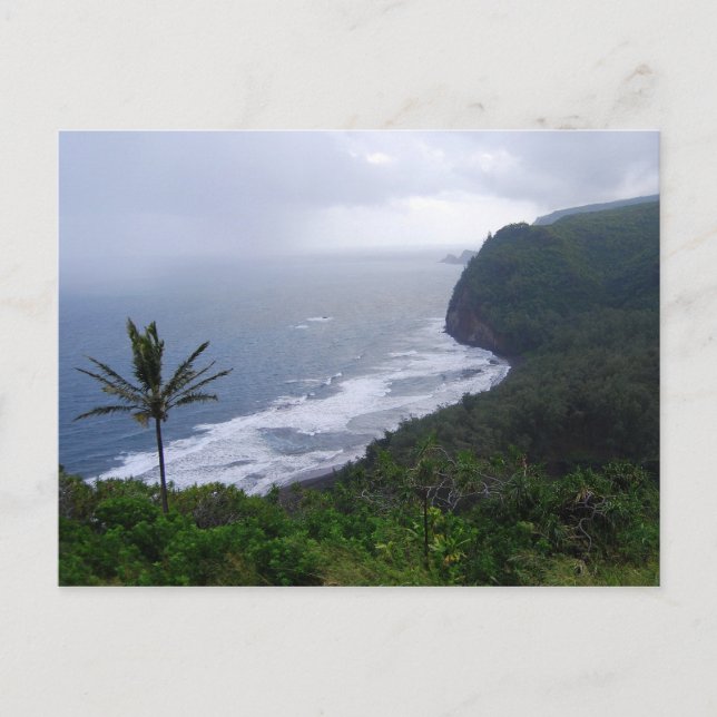 Pololu Valley Lookout with Palm Tree, Hawaii, Post Postcard (Front)