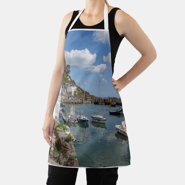 Polperro Apron (Insitu)