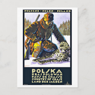 Polska Poland Vintage Travel Postcard