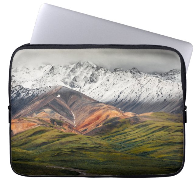 Polychrome mountain, Denali NP, Alaska Laptop Sleeve (Front)