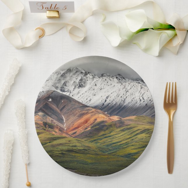 Polychrome mountain, Denali NP, Alaska Paper Plate (Wedding)