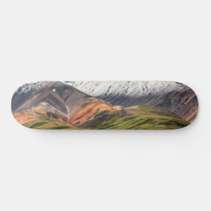 Polychrome mountain, Denali NP, Alaska Skateboard