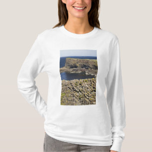 Polygonal basalt, Staffa, off Isle of Mull, T-Shirt