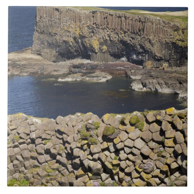 Polygonal basalt, Staffa, off Isle of Mull, Tile (Front)