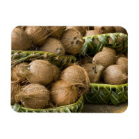 Polynesia, Kingdom of Tonga. Display of coconuts