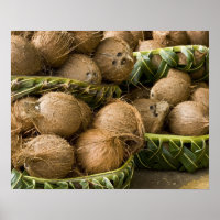 Polynesia, Kingdom of Tonga. Display of coconuts