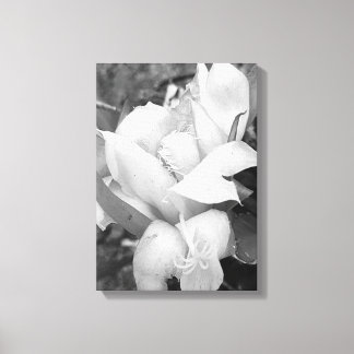 POLYNESIAN DRAGON CACTUS NIGHT BLOOM CANVAS PRINT