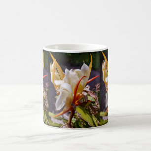 POLYNESIAN DRAGON CACTUS NIGHT BLOOM COFFEE MUG