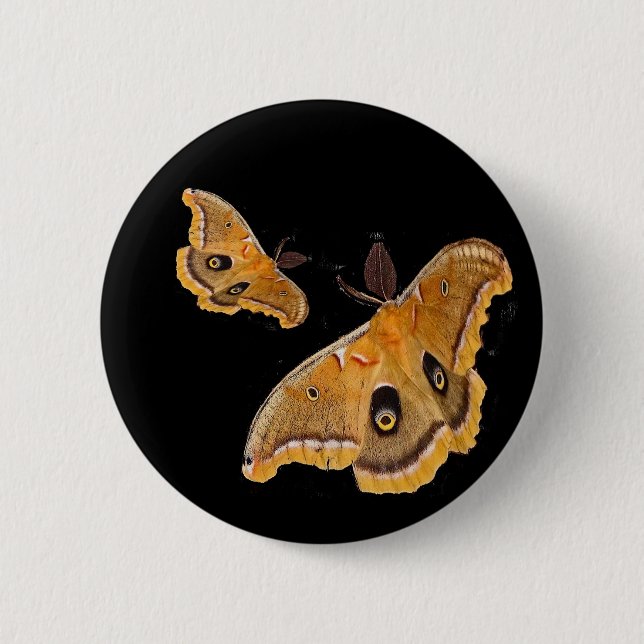 Polyphemus Moths 6 Cm Round Badge (Front)