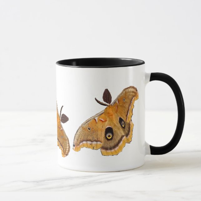 Polyphemus Moths Mug (Right)