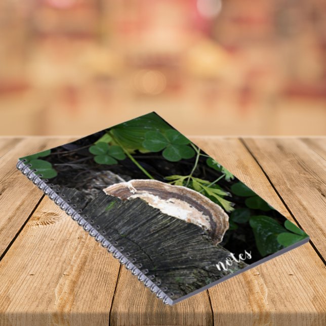 Polypore Fungus on Tree Stump Notebook (In Situ)