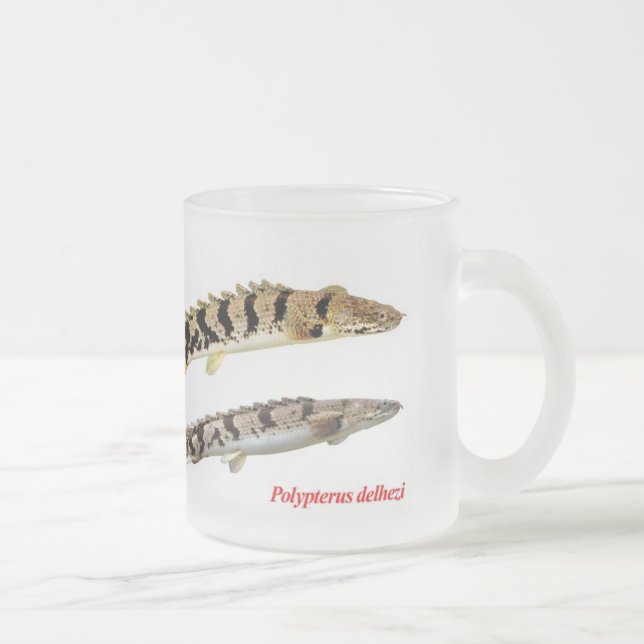 Polypterus delhezi mug (Right)