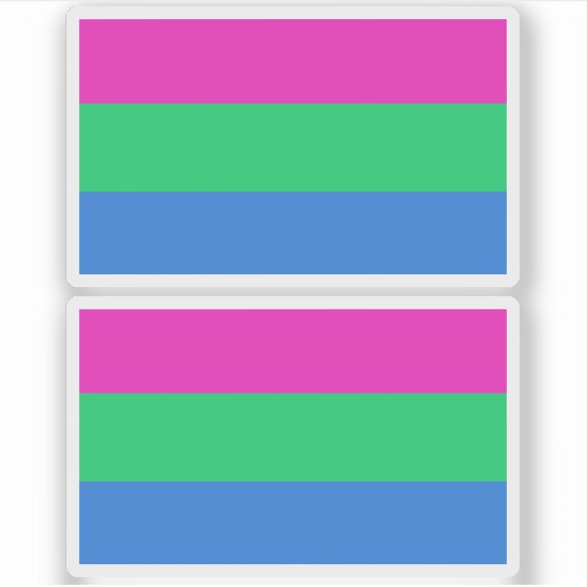 Polysexual Pride Flag (Front)