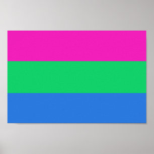 Polysexual Pride Flag Poster