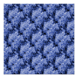 Pom-Pom's... Poster