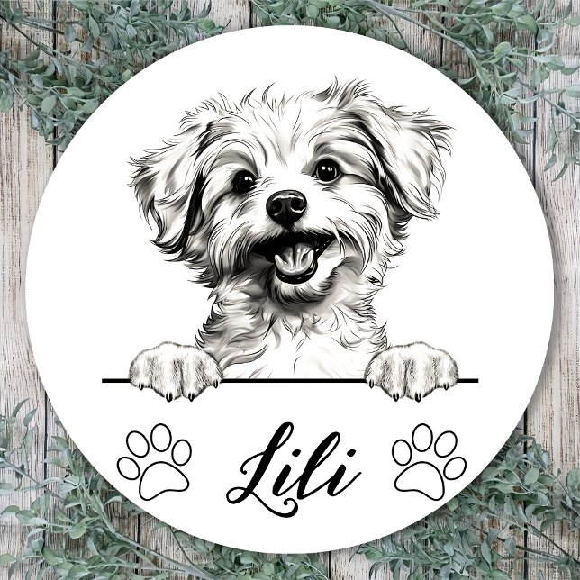 Pomapoo Dog Hand Drawing Personalised Classic Round Sticker (Creator Uploaded)