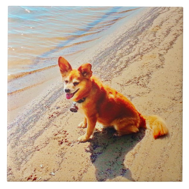 Pomchi Dog! Tile (Front)