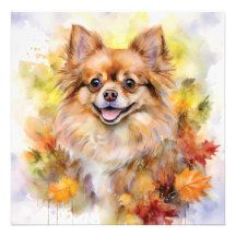 Pomchi Fall Watercolor