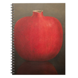 Pomegranate 2010 notebook