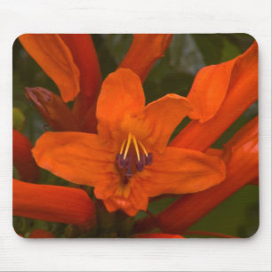 Pomegranate Blooms Mouse Pad