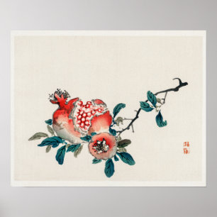 Pomegranate by Kōno Bairei (1844-1895) Poster