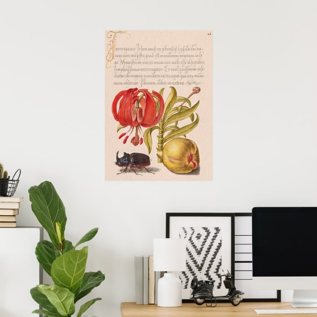 Pomegranate Flower, Fruit and Rhinoceros Beetle Poster (Home Office)