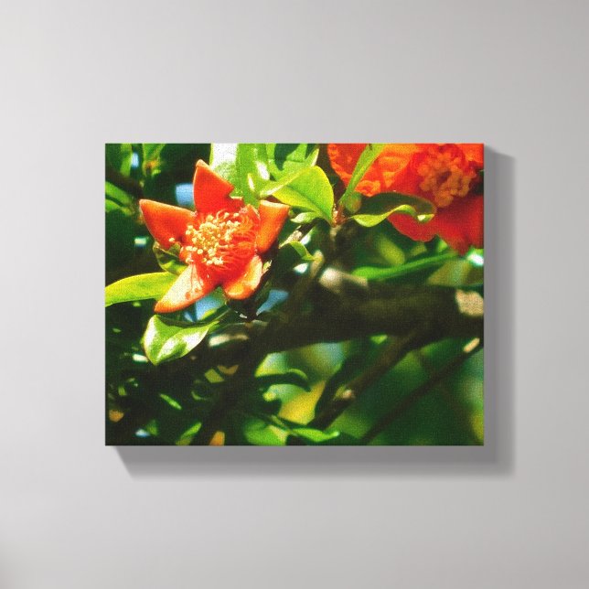 Pomegranate flowers canvas print (Front)