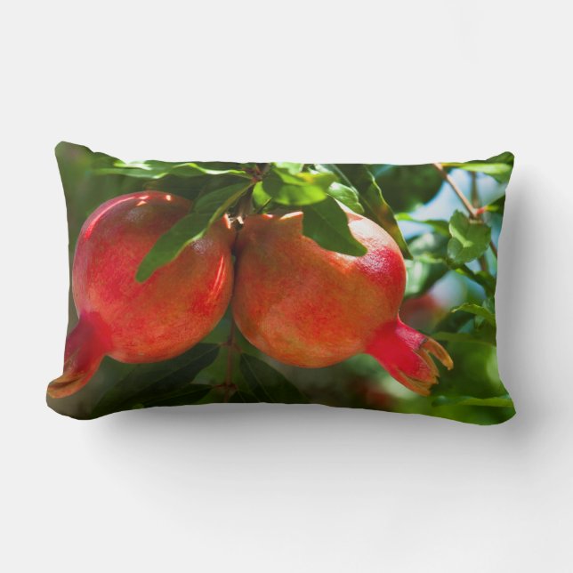 Pomegranate Lumbar Cushion (Front)