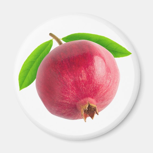Pomegranate Magnet (Front)