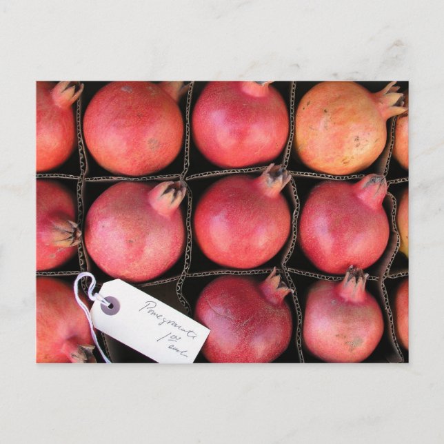 Pomegranate Postcard (Front)