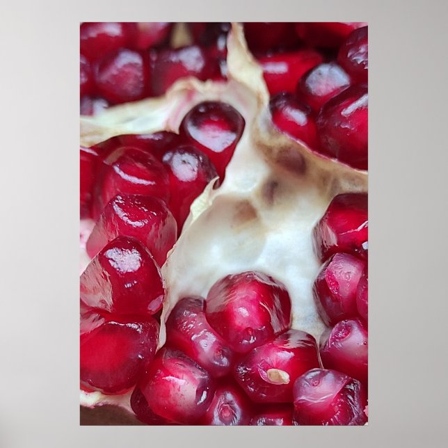 Pomegranate Poster (Front)
