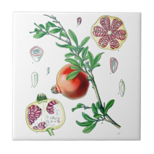 Pomegranate Tile