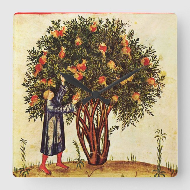 POMEGRANATE TREE ANTIQUE MEDIEVAL PARCHMENT,Rustic Square Wall Clock (Front)