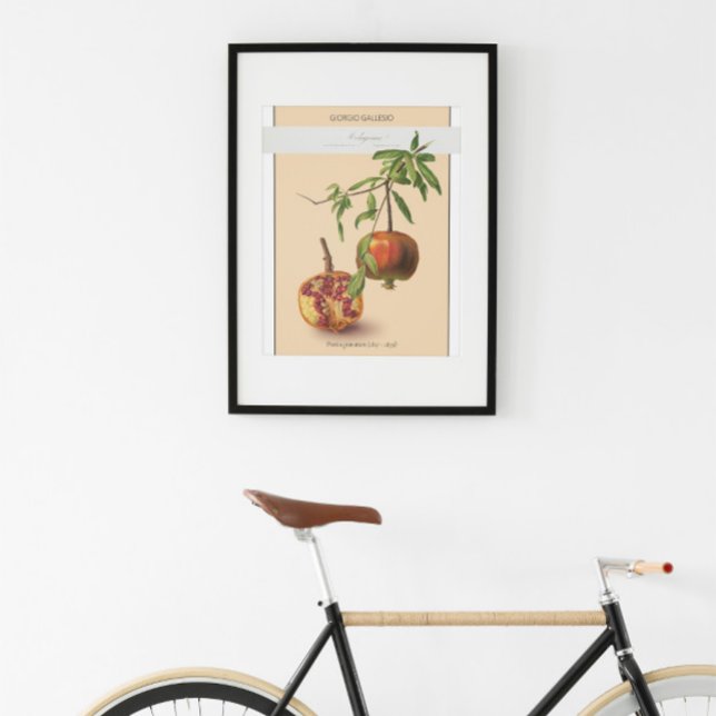 Pomegranate, Vintage Botanical Illustration Poster (Creator Uploaded)